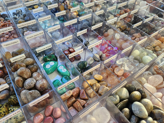 Experience the Magic - In Person Shopping Experience - Appointment Only