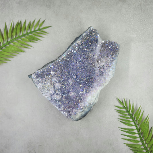 Aura Amethyst Cluster 807g