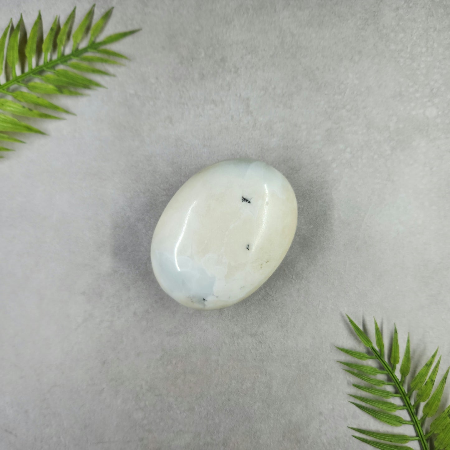 Dendritic Opal Palm Stone 146g