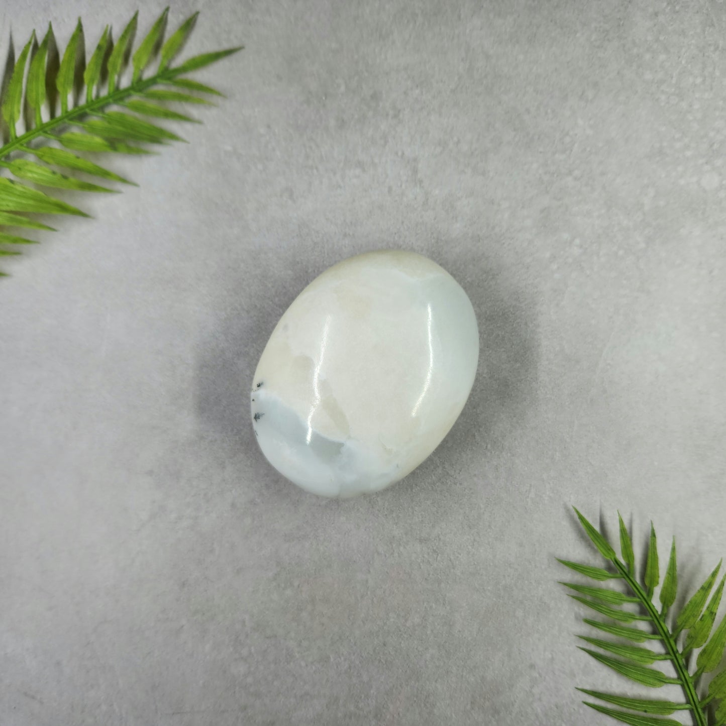Dendritic Opal Palm Stone 146g