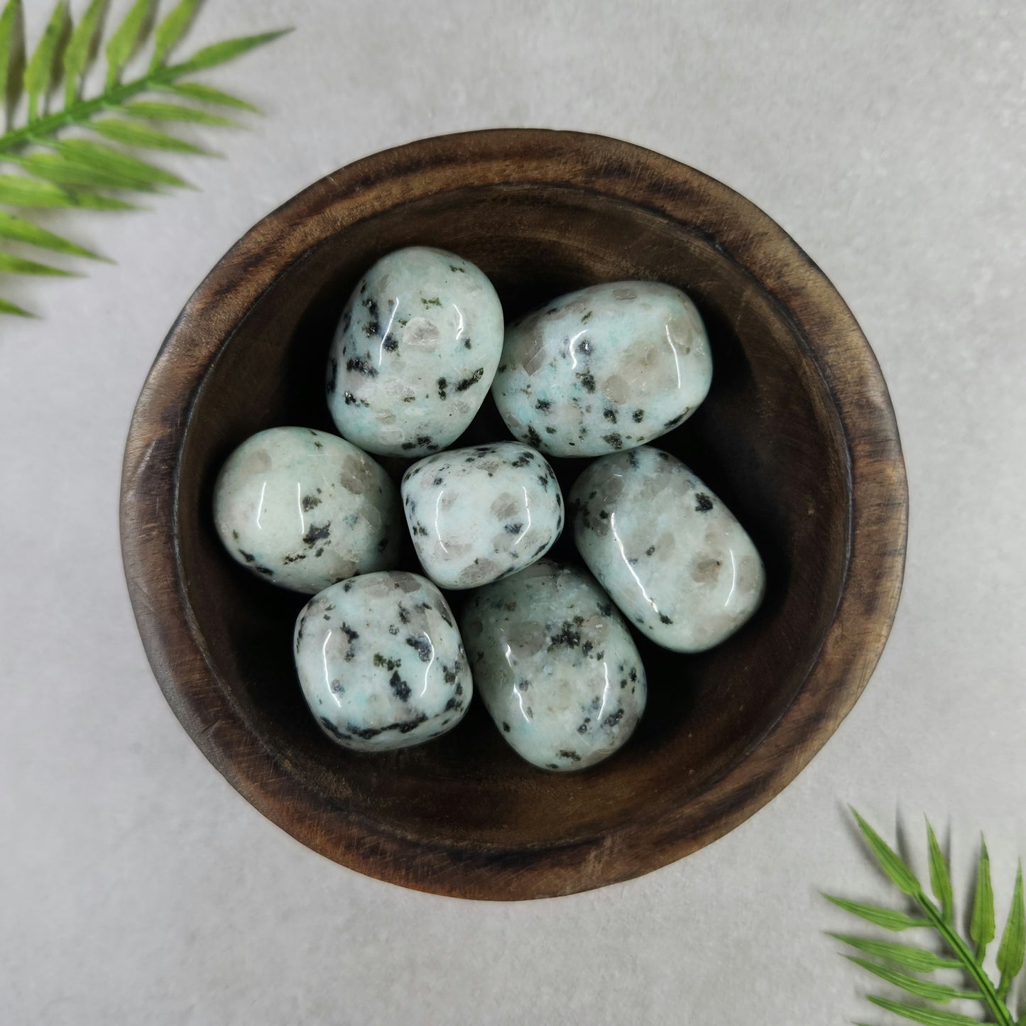 Kiwi Jasper Tumble