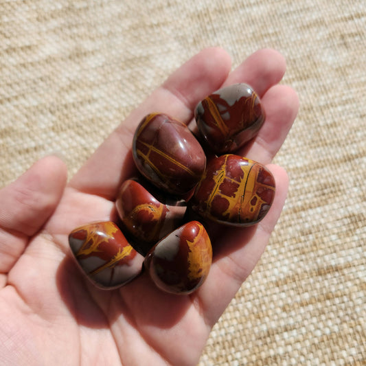 Noreena Jasper Tumble