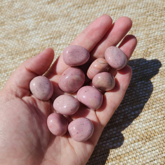 Pink Petrified Wood Tumble