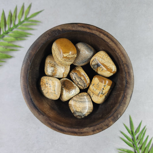 Picture Jasper Tumble