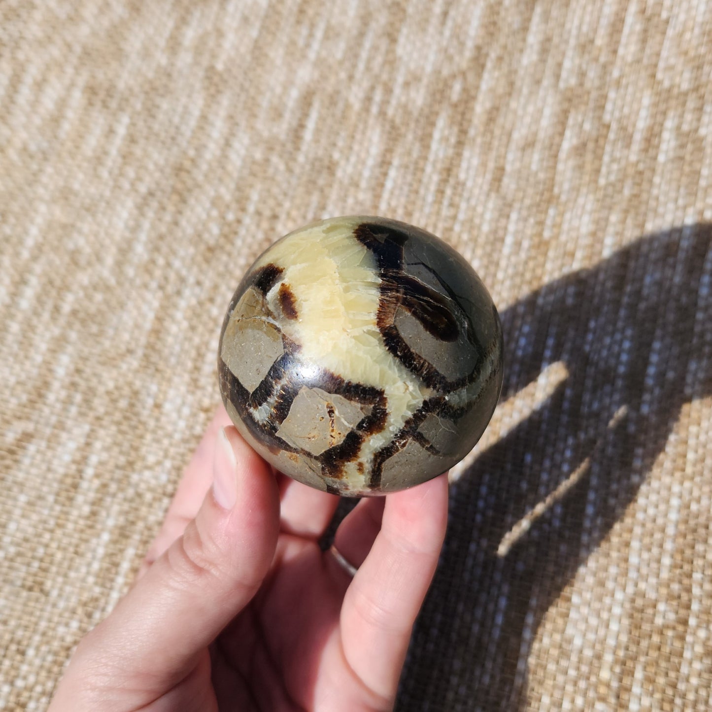 Septarian Sphere 248g