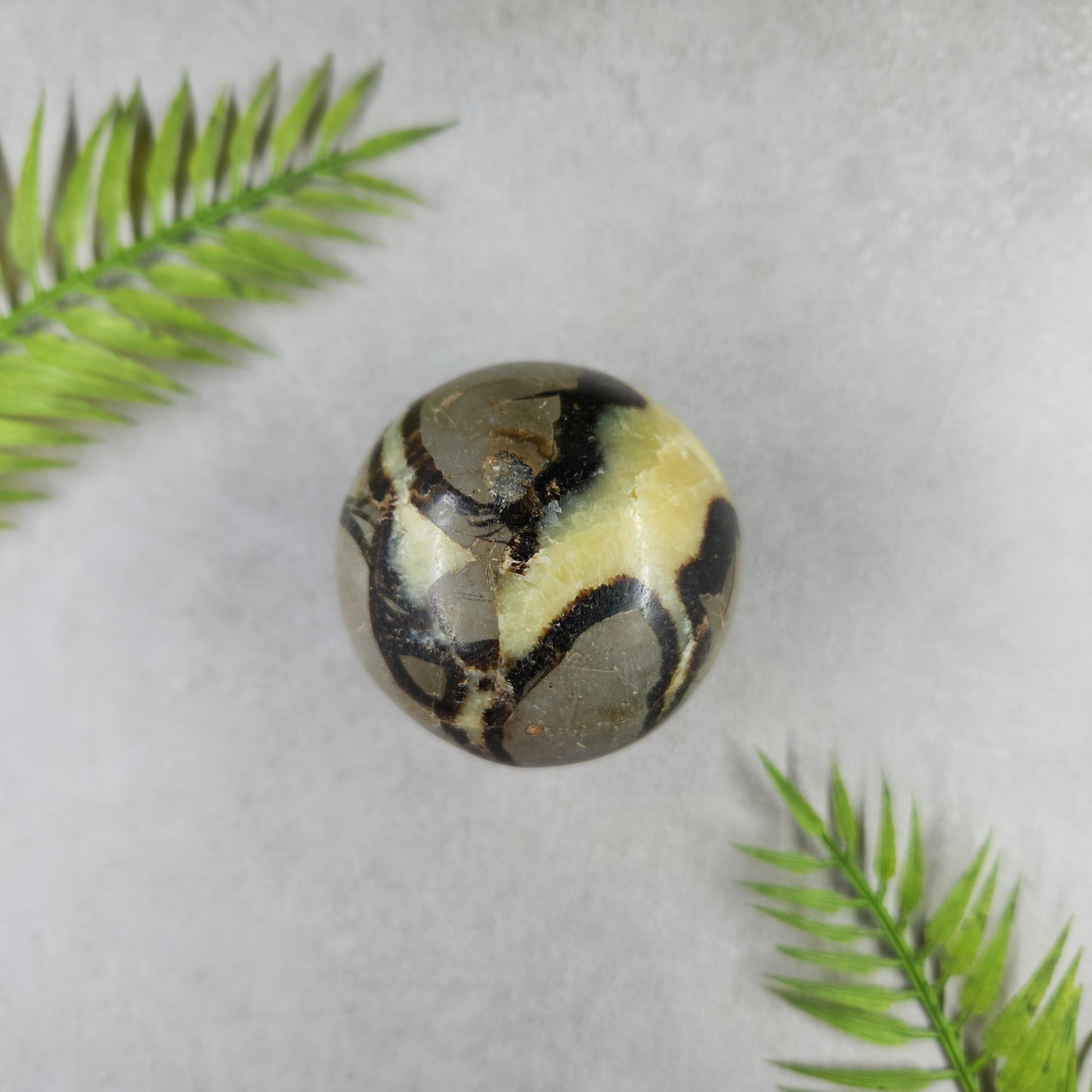 Septarian Sphere 248g