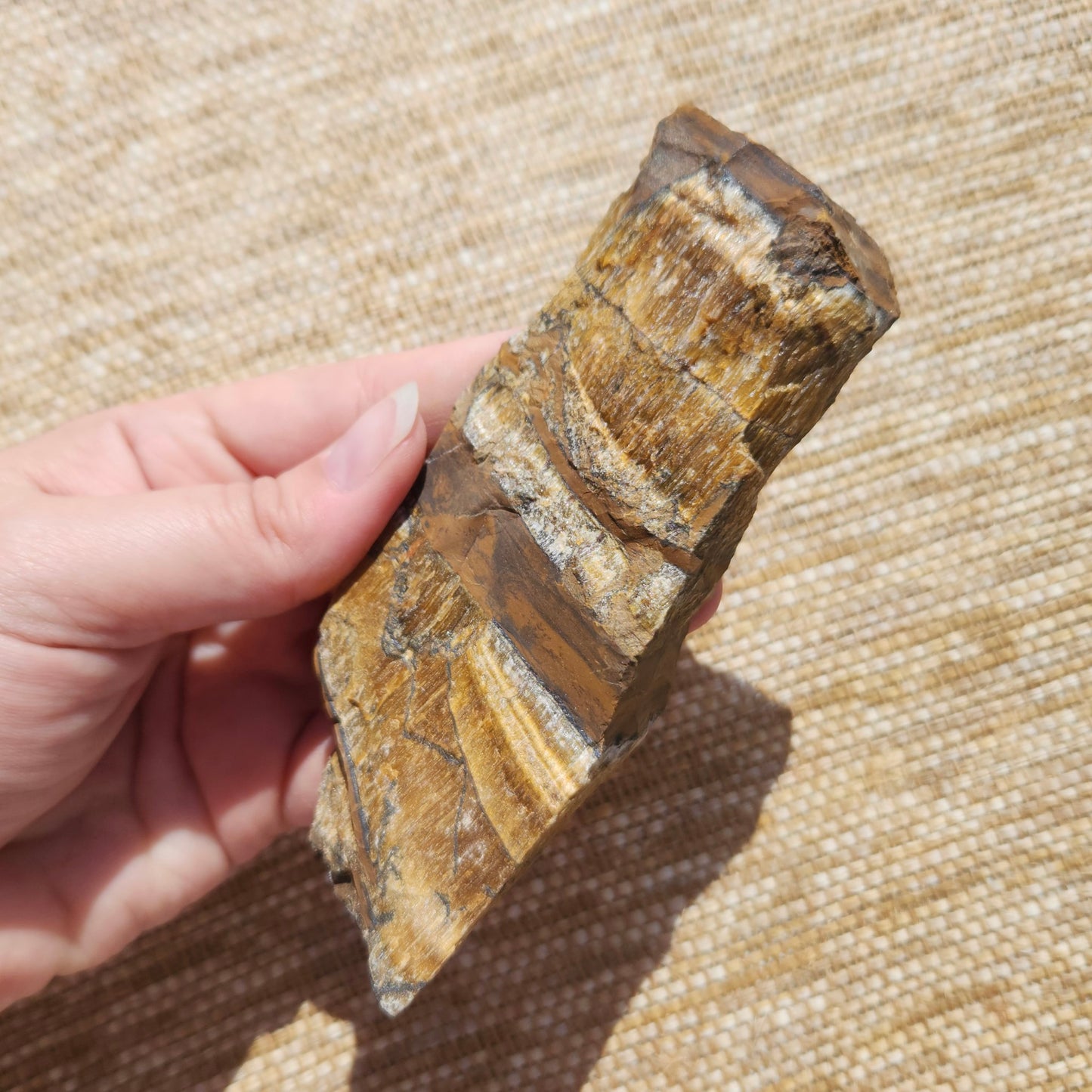 Tigers Eye Rough
