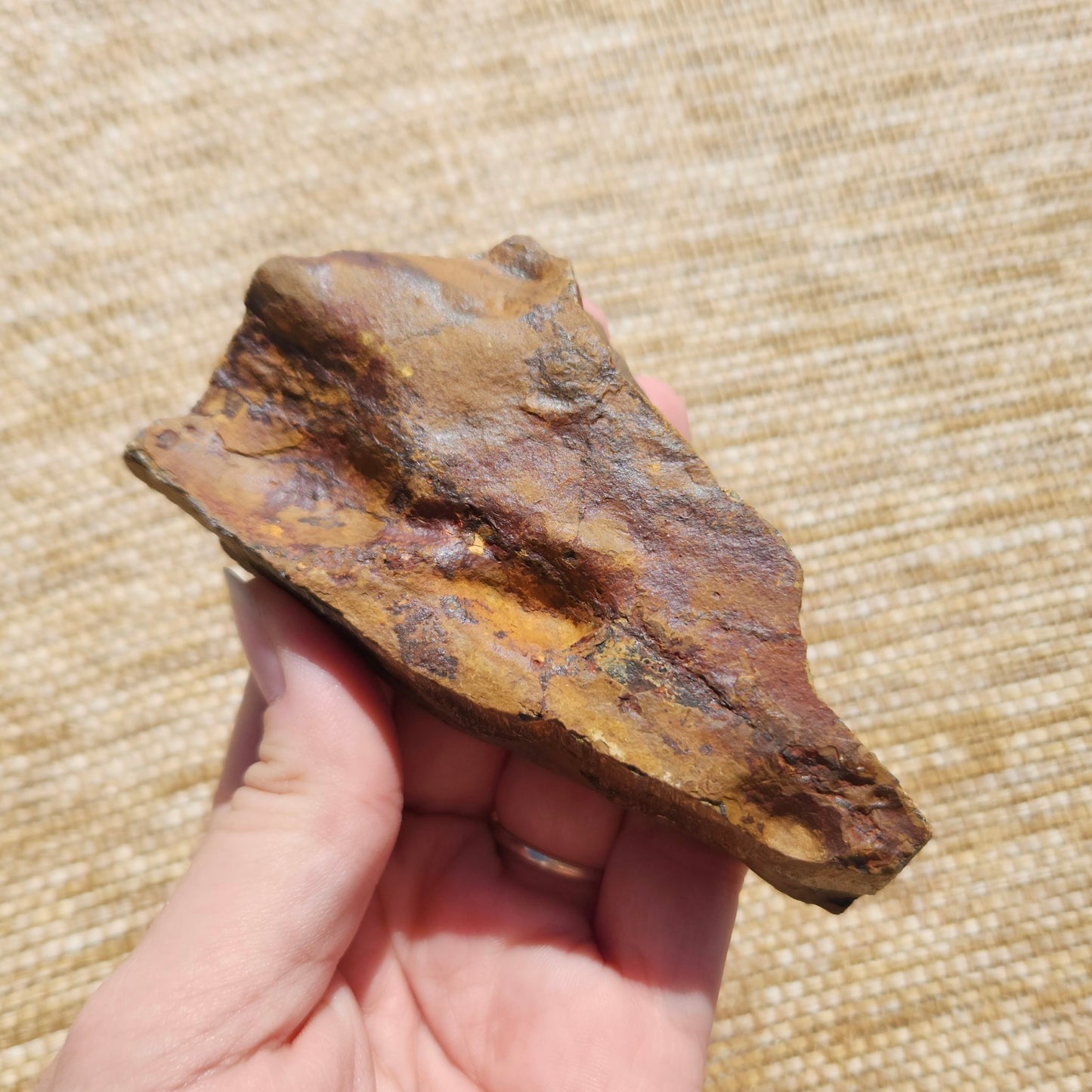 Tigers Eye Rough