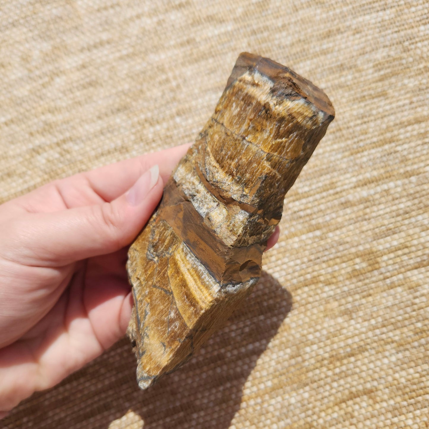 Tigers Eye Rough