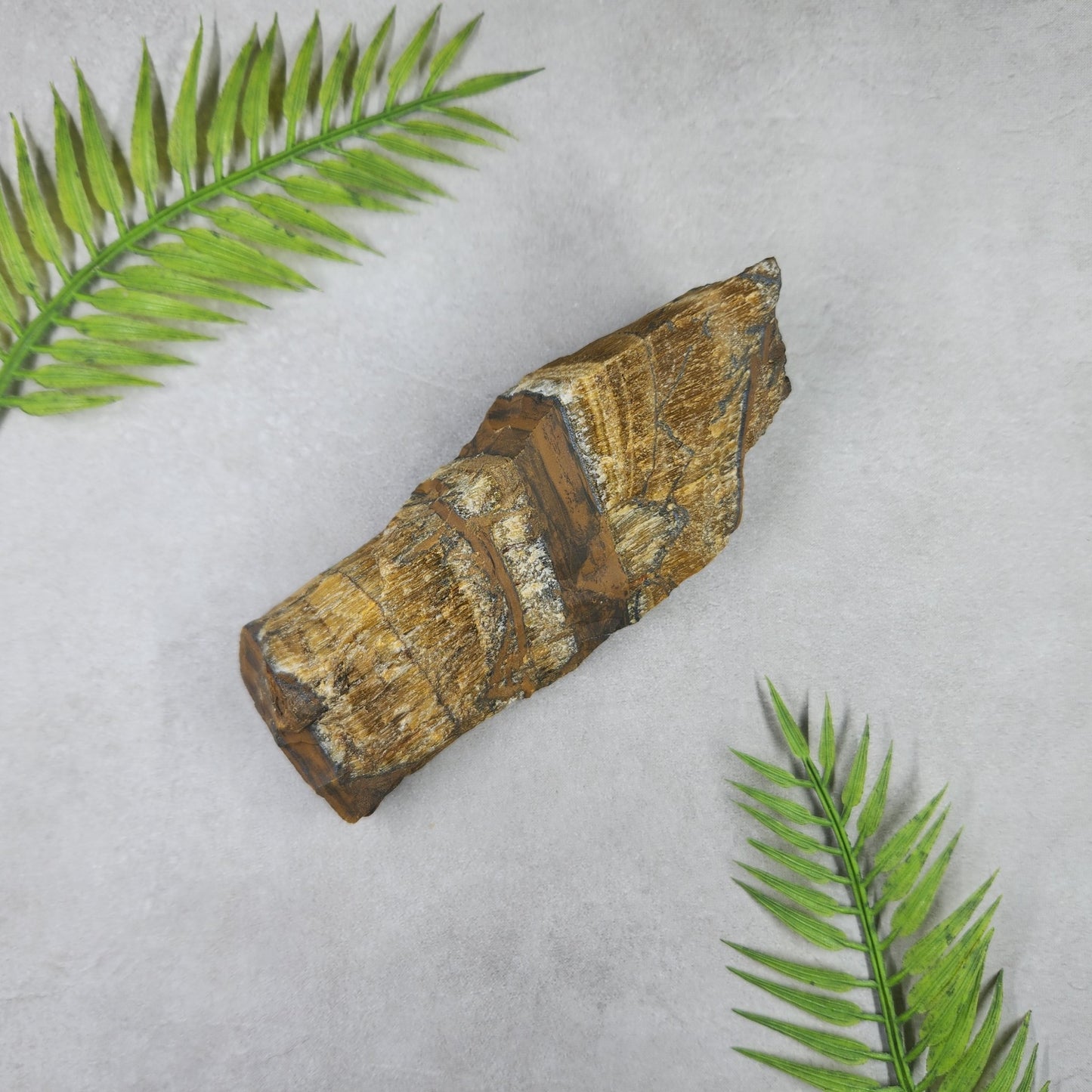 Tigers Eye Rough