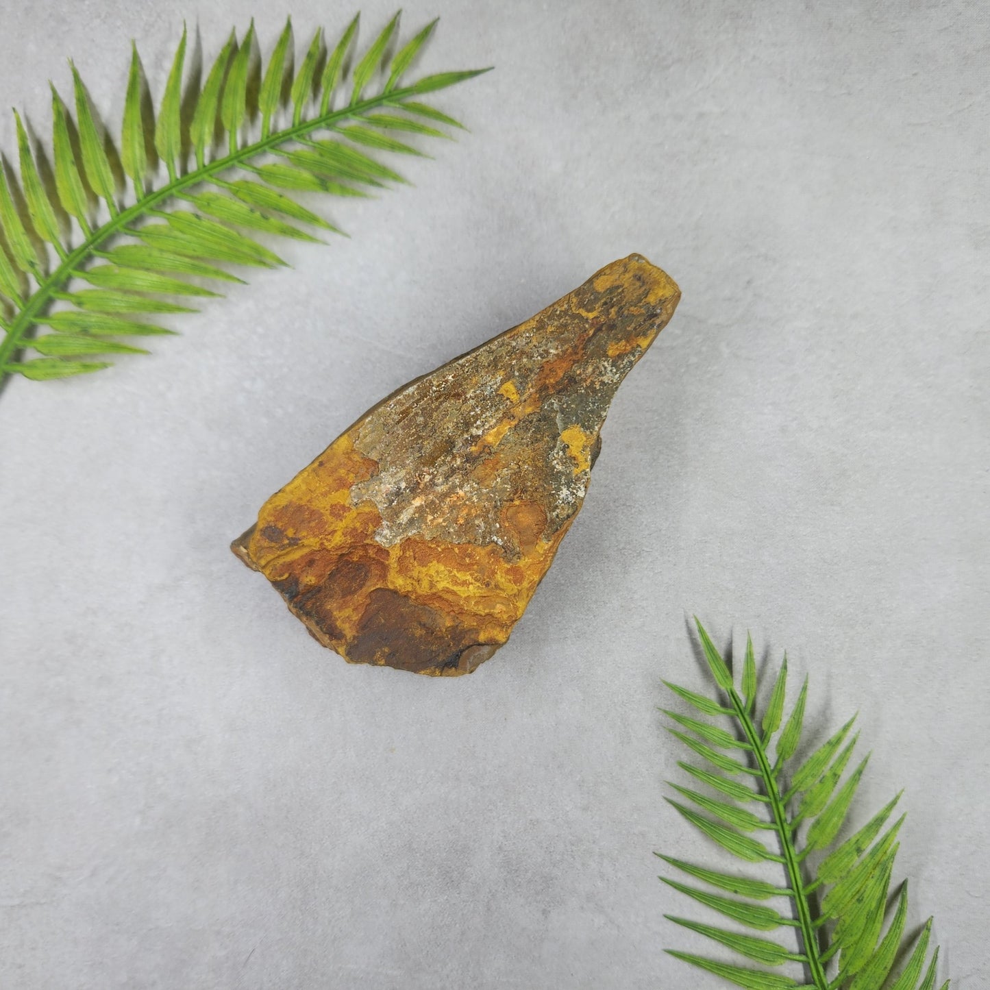 Tigers Eye Rough