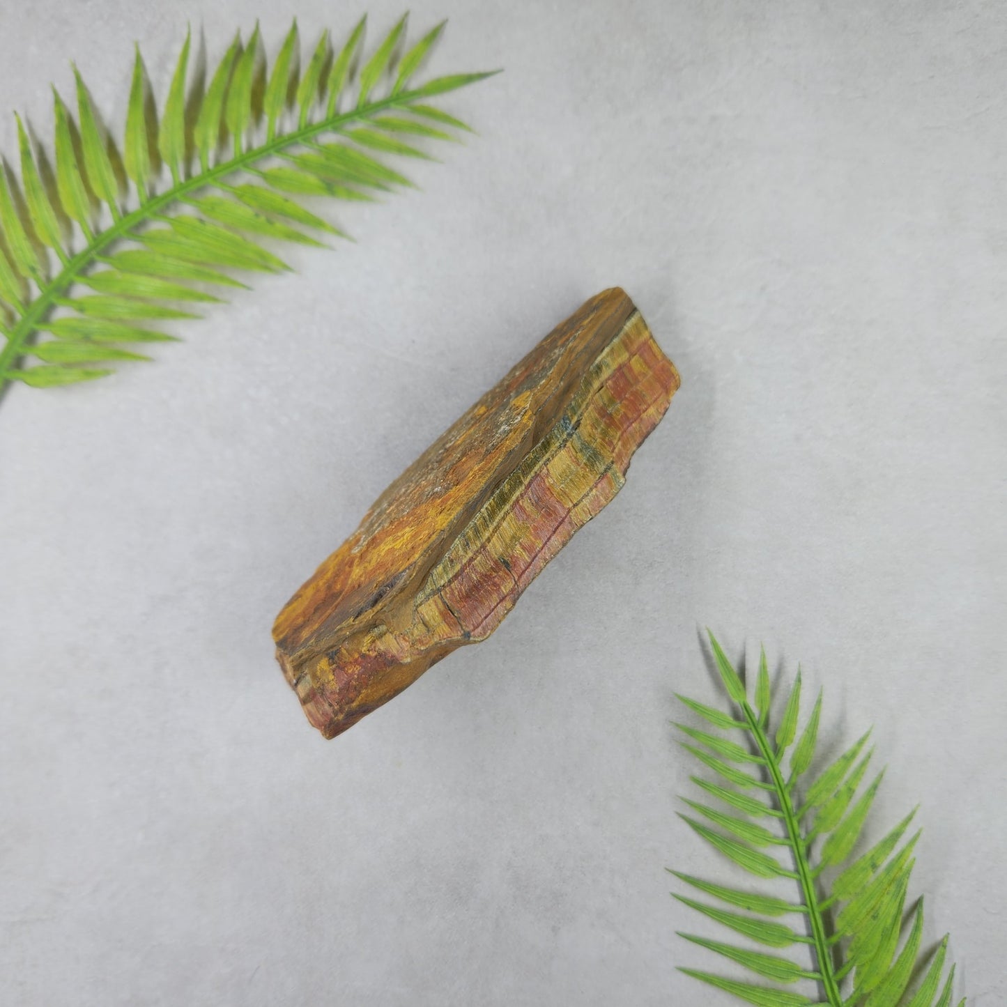 Tigers Eye Rough