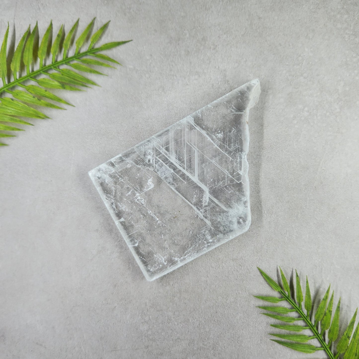 Selenite Slice - Transparent
