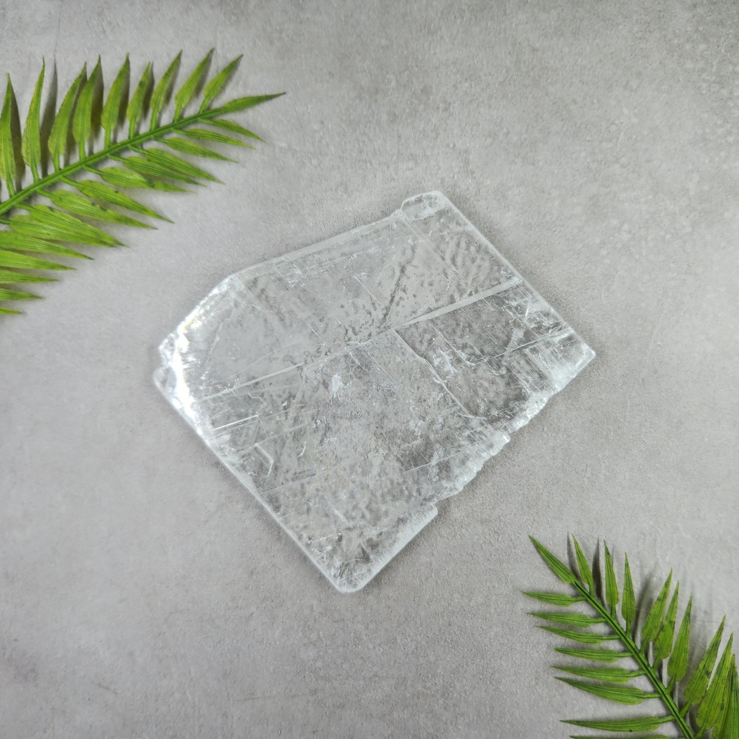 Selenite Slice - Transparent