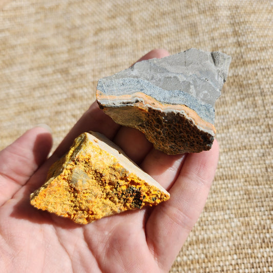 Bumblebee Jasper Rough Medium