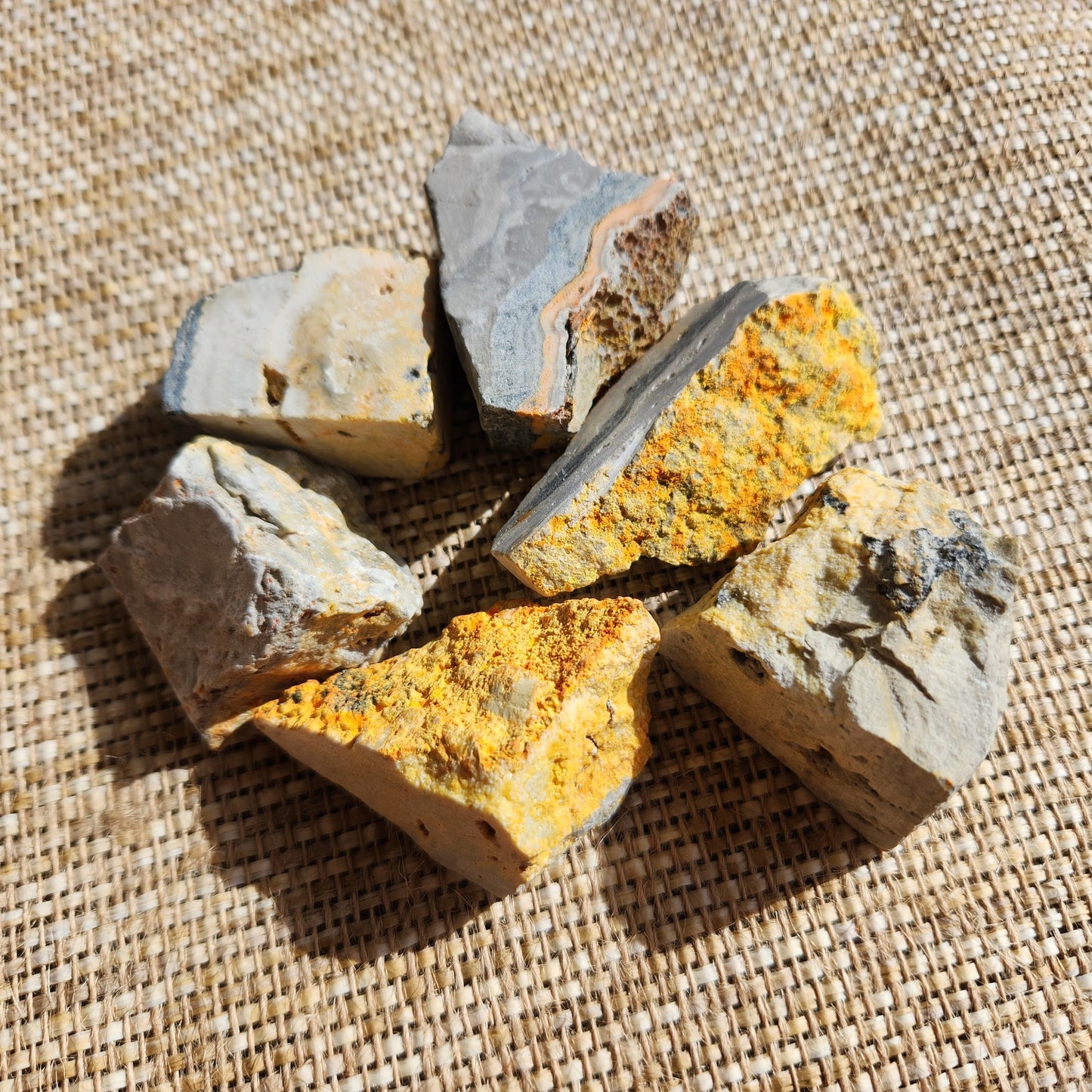 Bumblebee Jasper Rough Medium