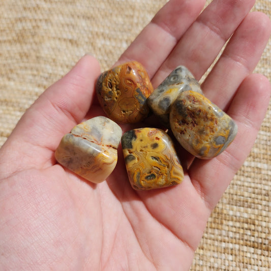 Crazy Lace Agate Tumble