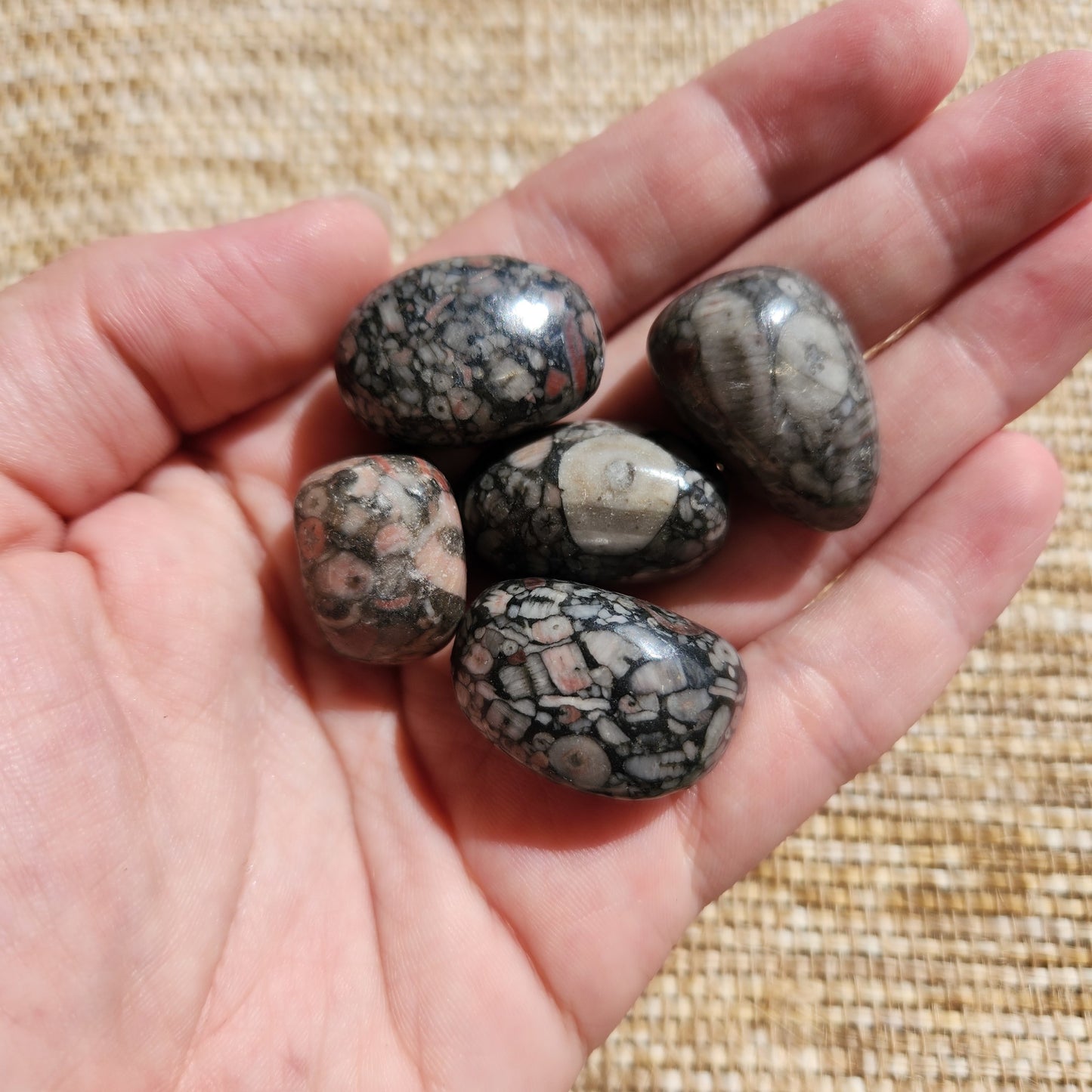 Crinoid/Fossil Jasper Tumble