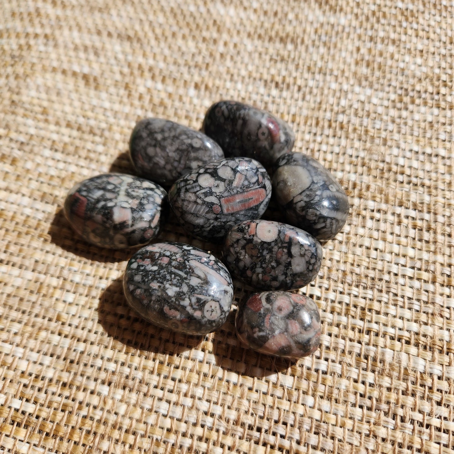Crinoid/Fossil Jasper Tumble