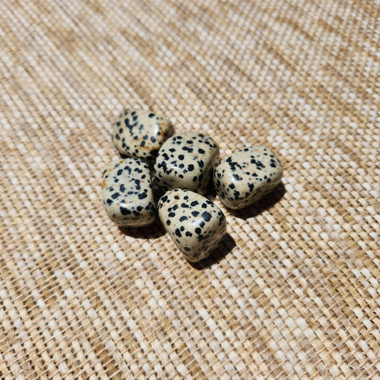 Dalmatian Jasper Tumble