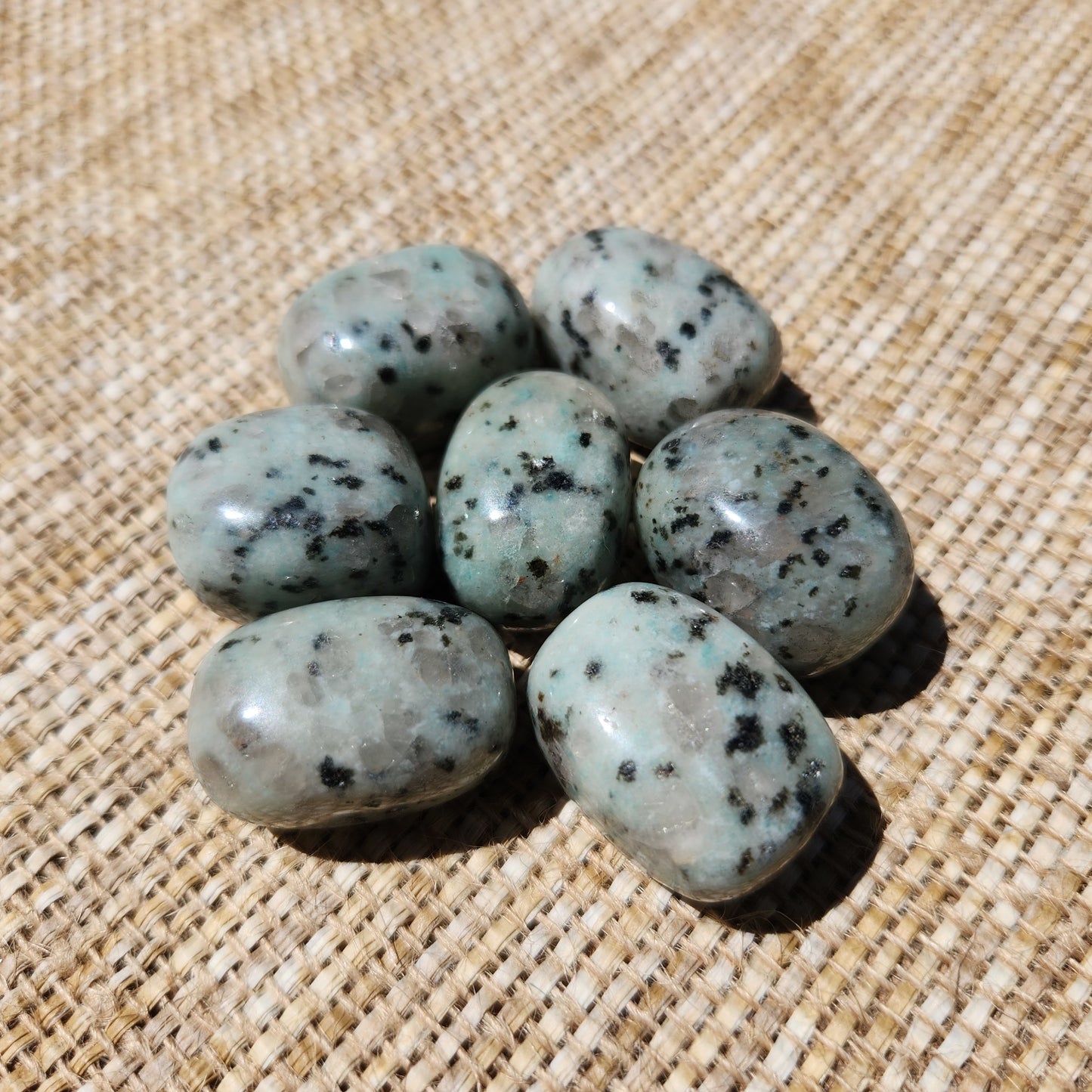 Kiwi Jasper Tumble