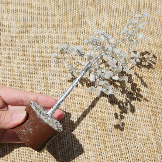 Rainbow Moonstone Chip Tree