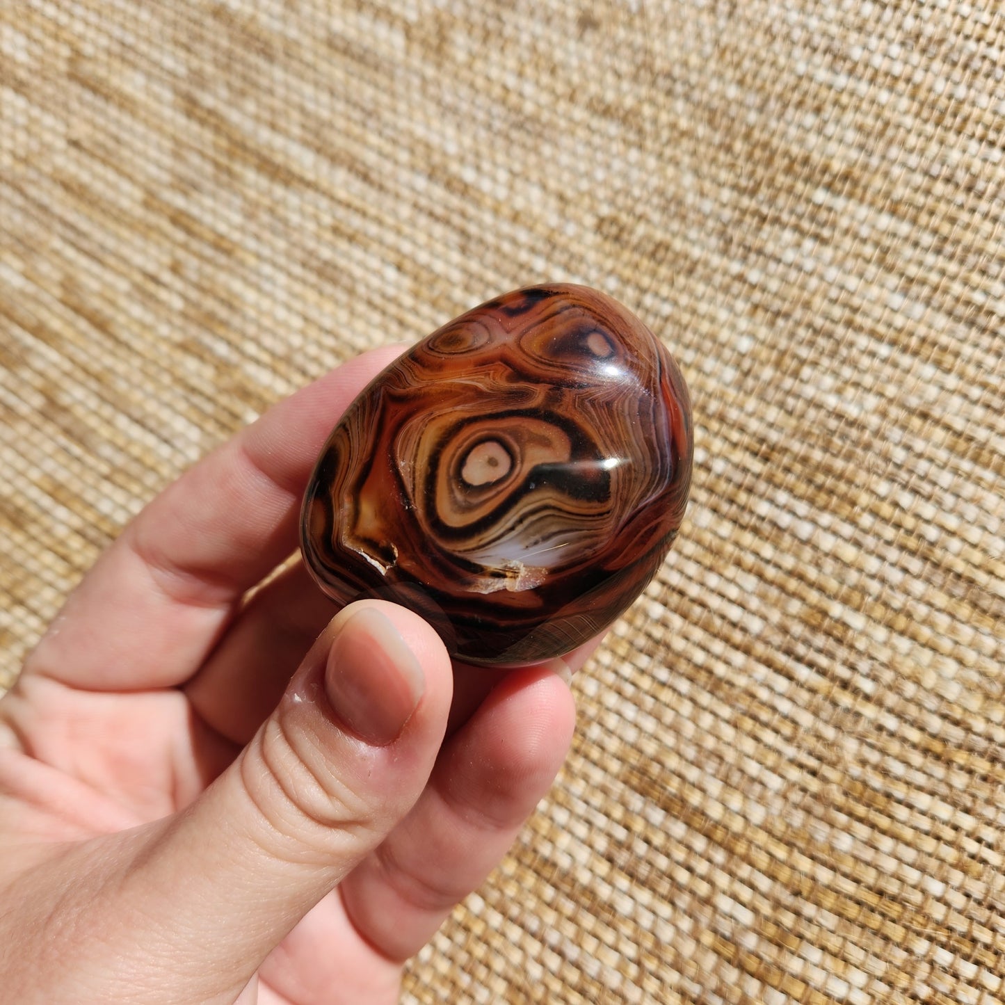 Sardonyx Freeform 73g