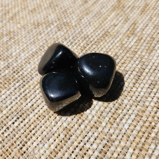 Shungite Tumble