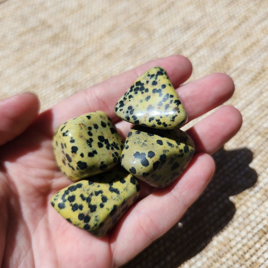 Yellow Dalmatian Jasper Tumble
