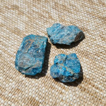 Blue Apatite Rough Extra Small