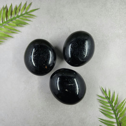 Black Tourmaline Palm Stone