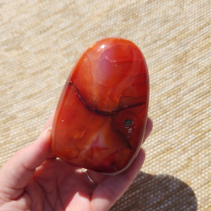 Carnelian Freeform 267g