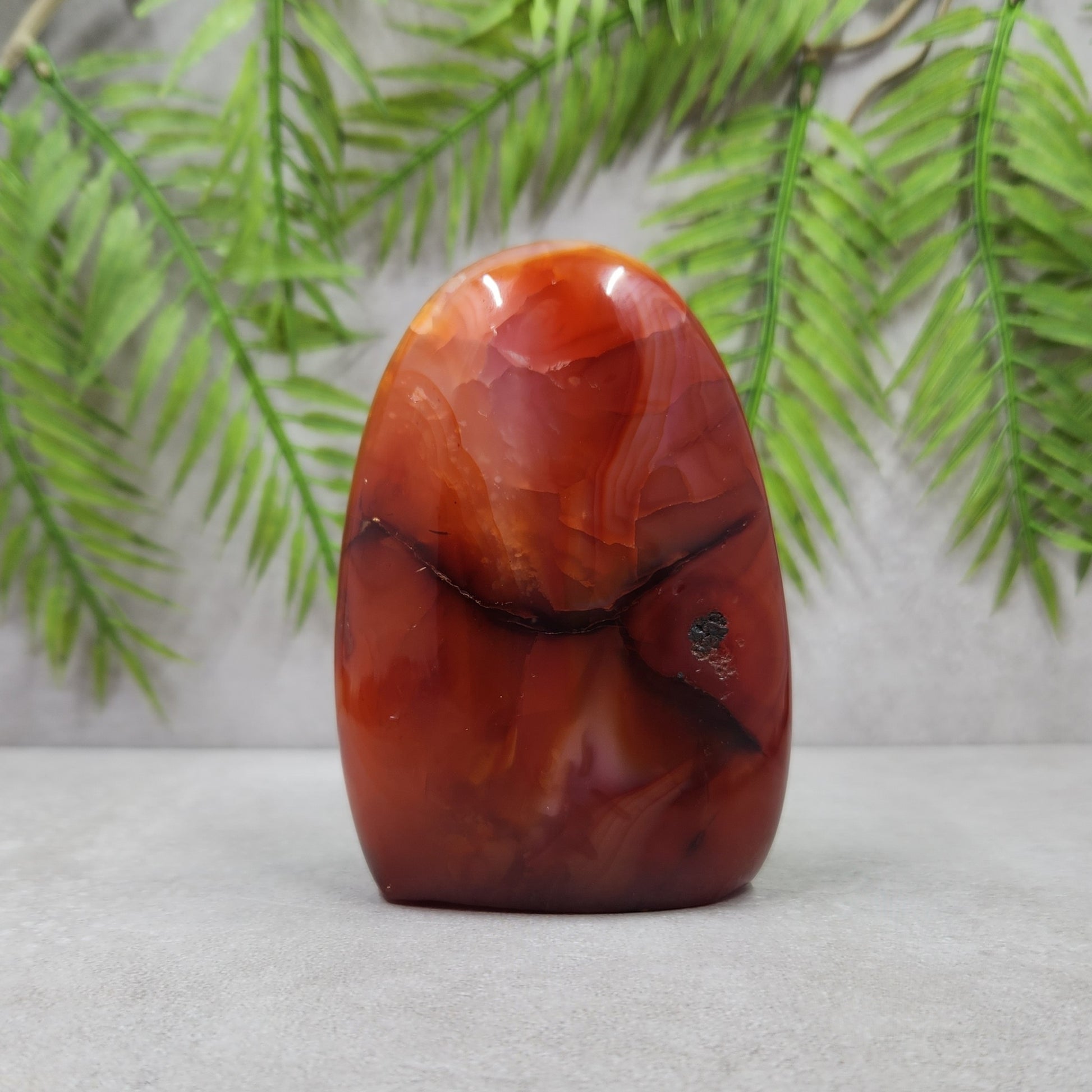 Carnelian Freeform 267g