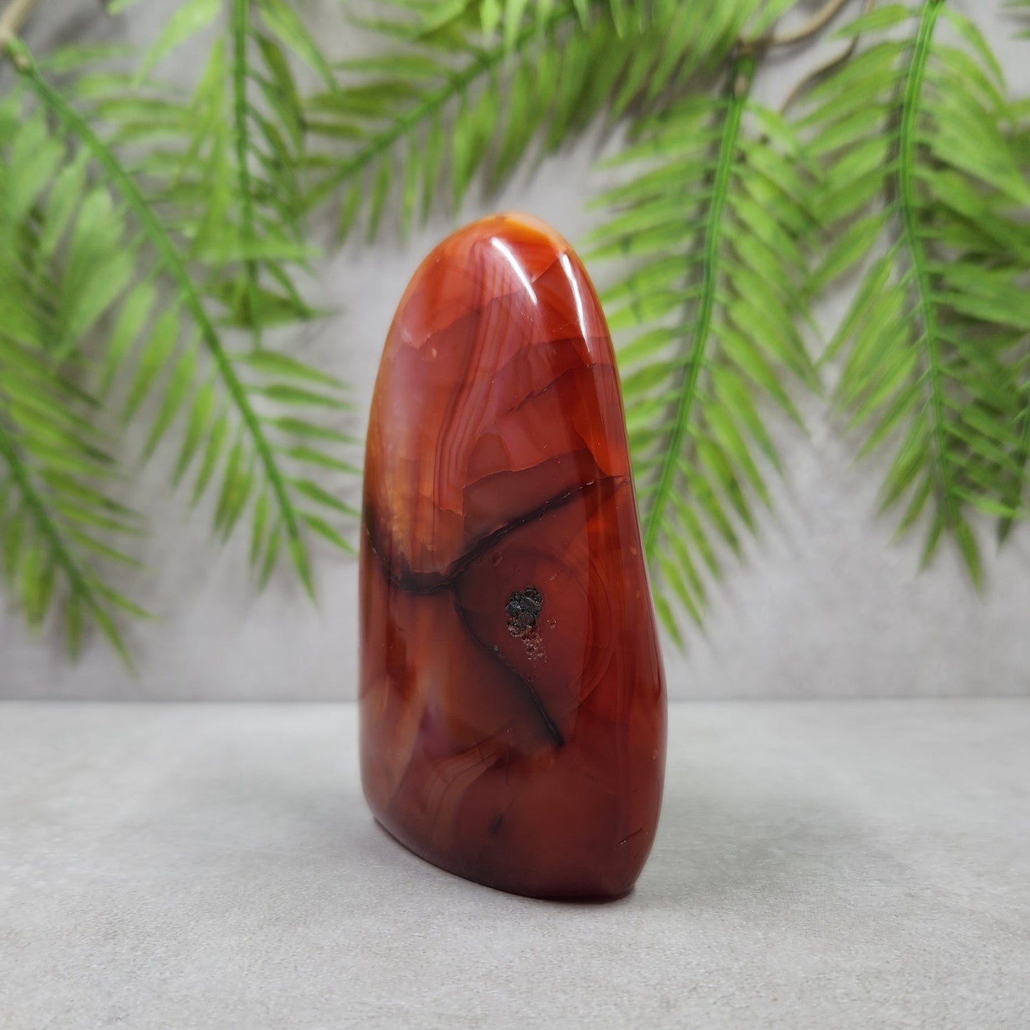 Carnelian Freeform 267g