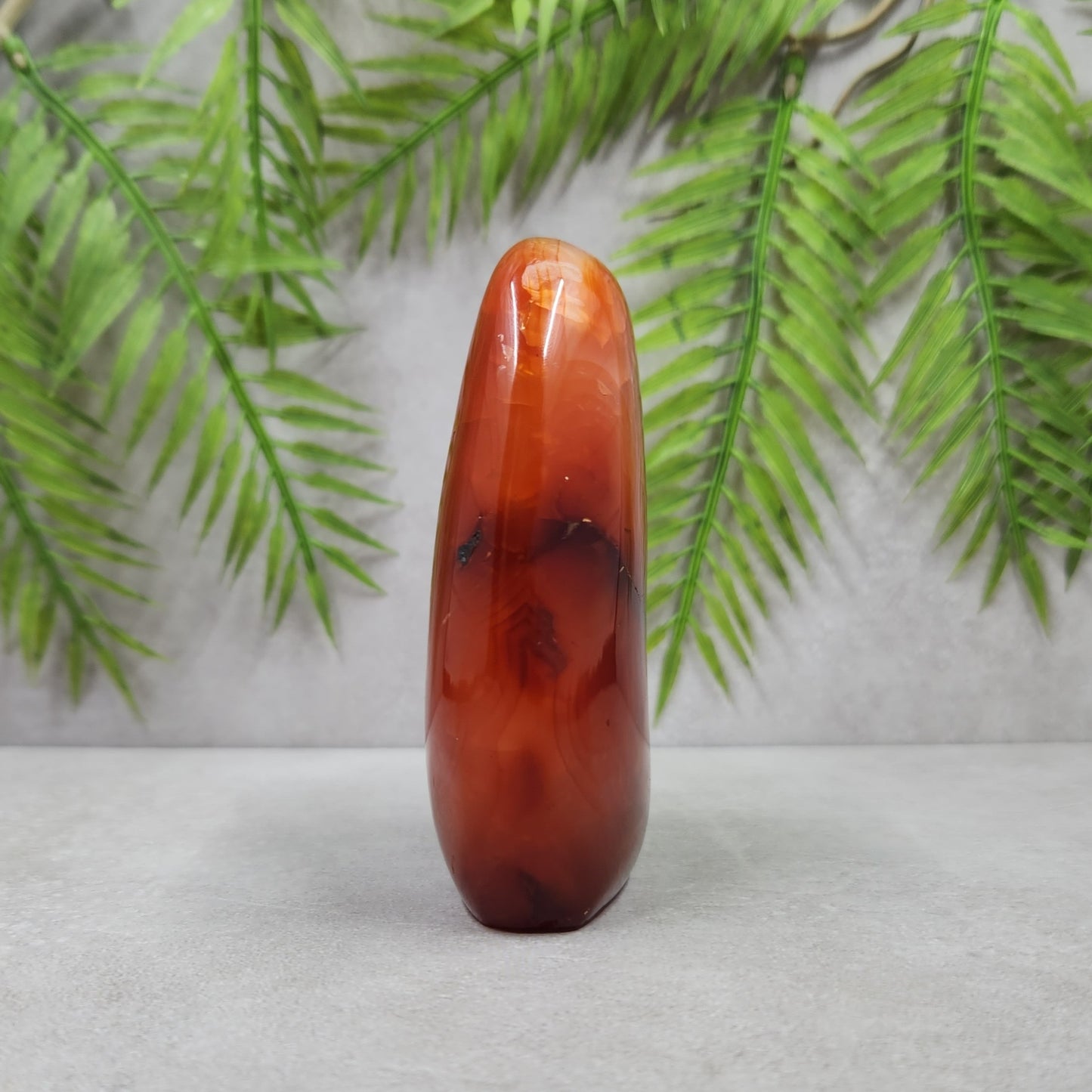 Carnelian Freeform 267g