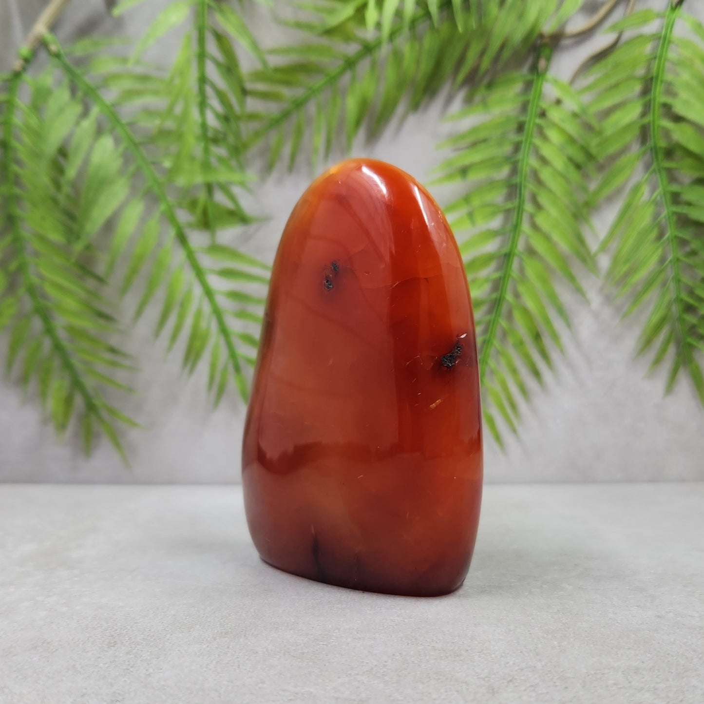 Carnelian Freeform 267g