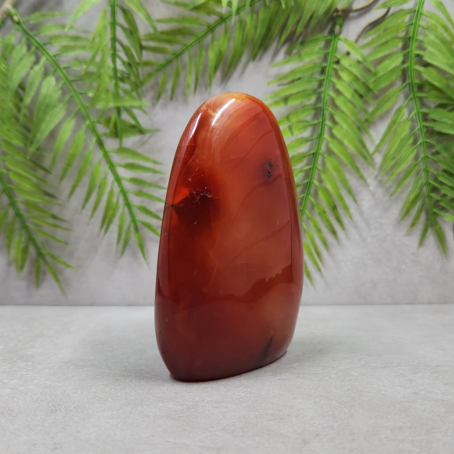 Carnelian Freeform 267g