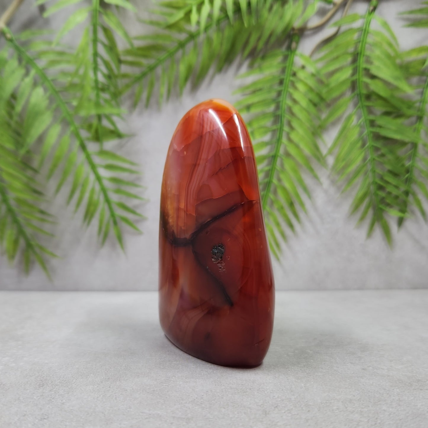 Carnelian Freeform 267g