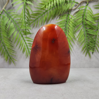 Carnelian Freeform 267g