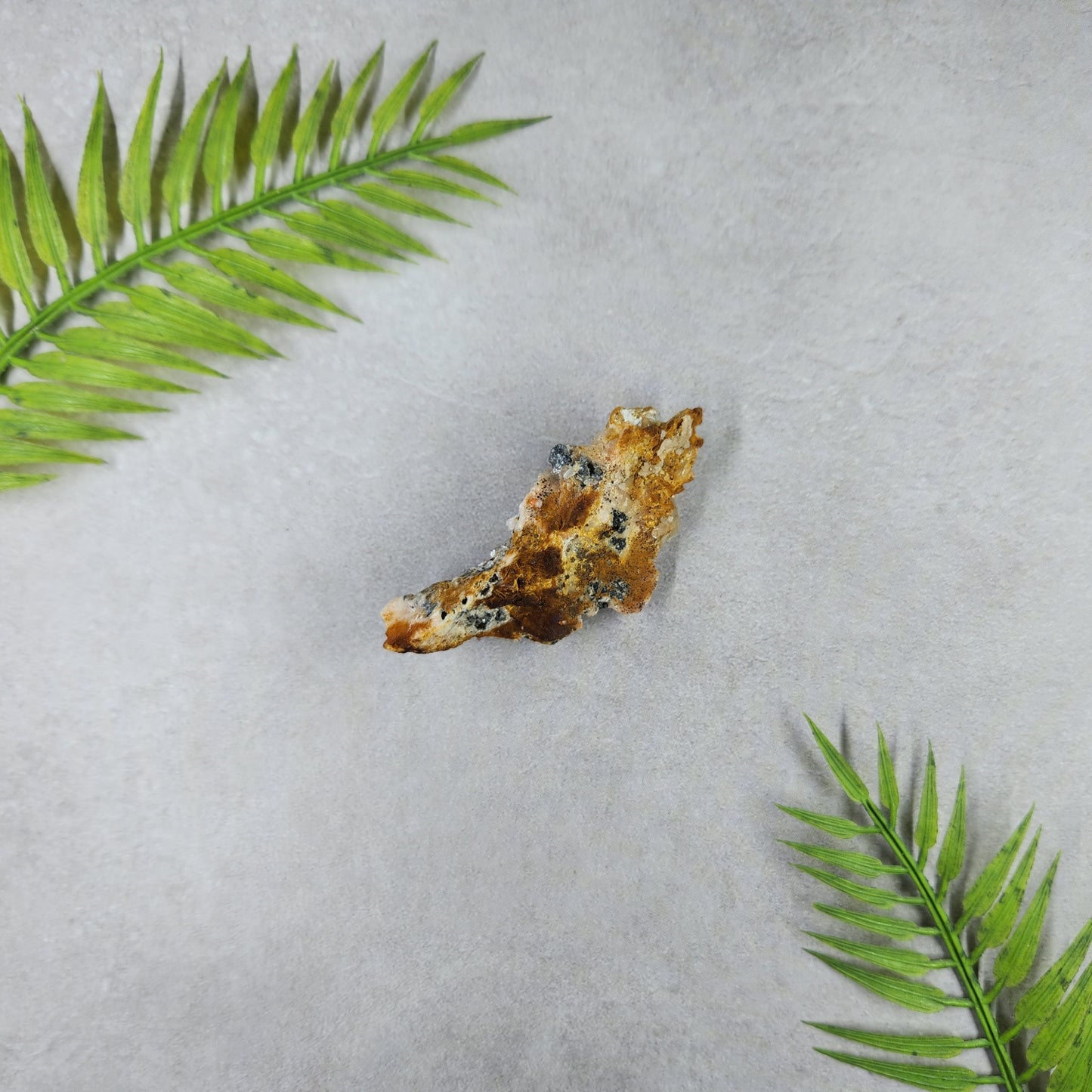 Cerussite on Barite 31g