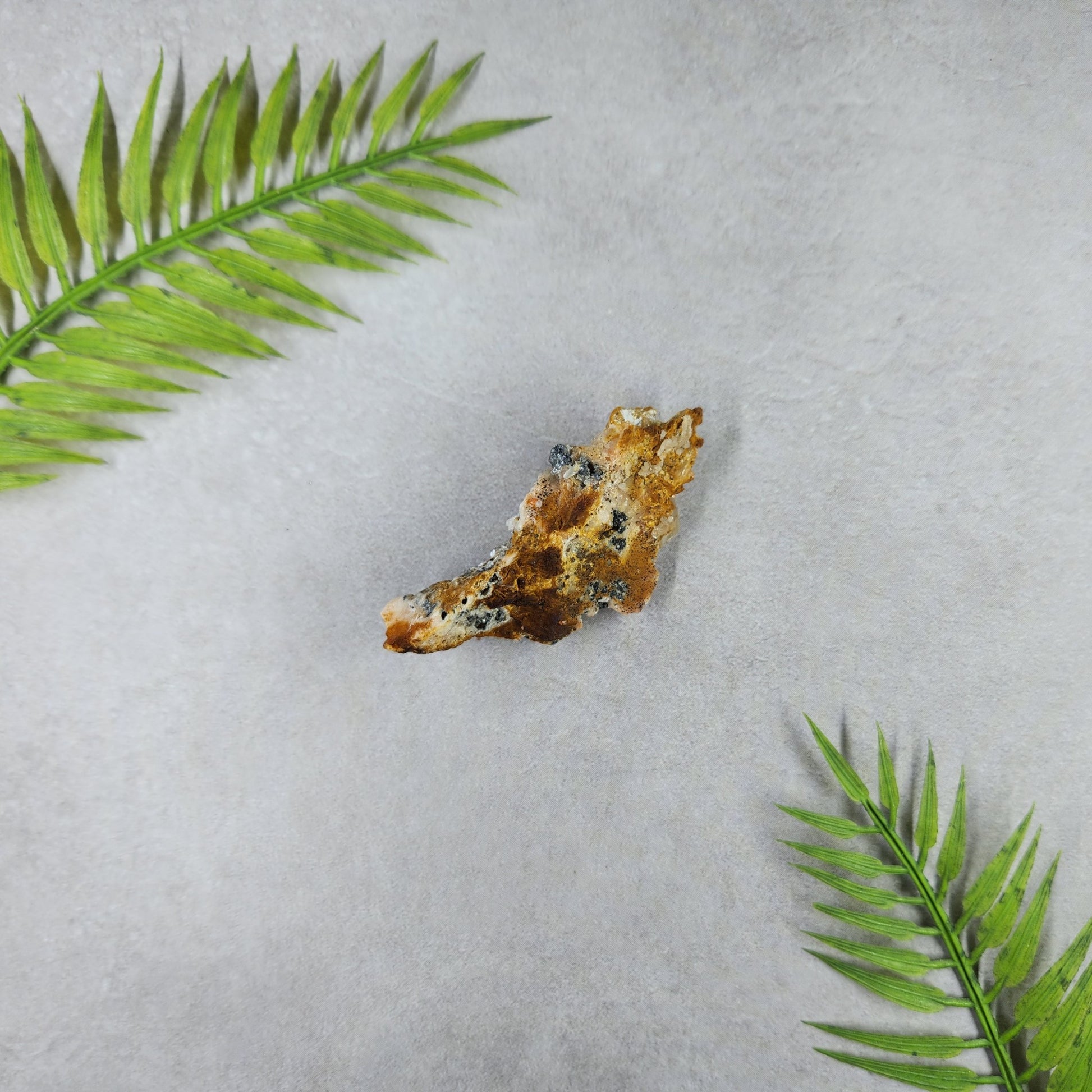 Cerussite on Barite 31g