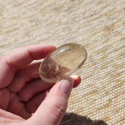 Natural Citrine Palm Stone