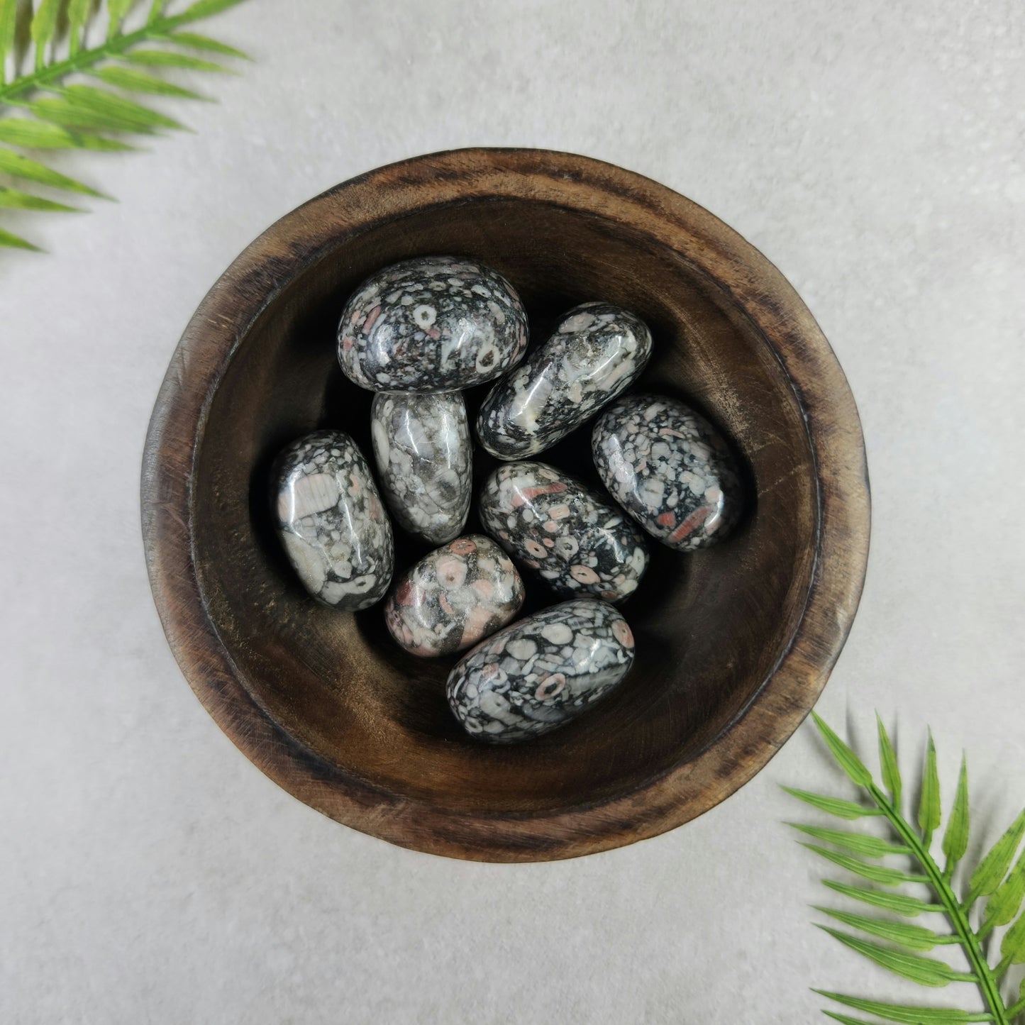 Crinoid/Fossil Jasper Tumble