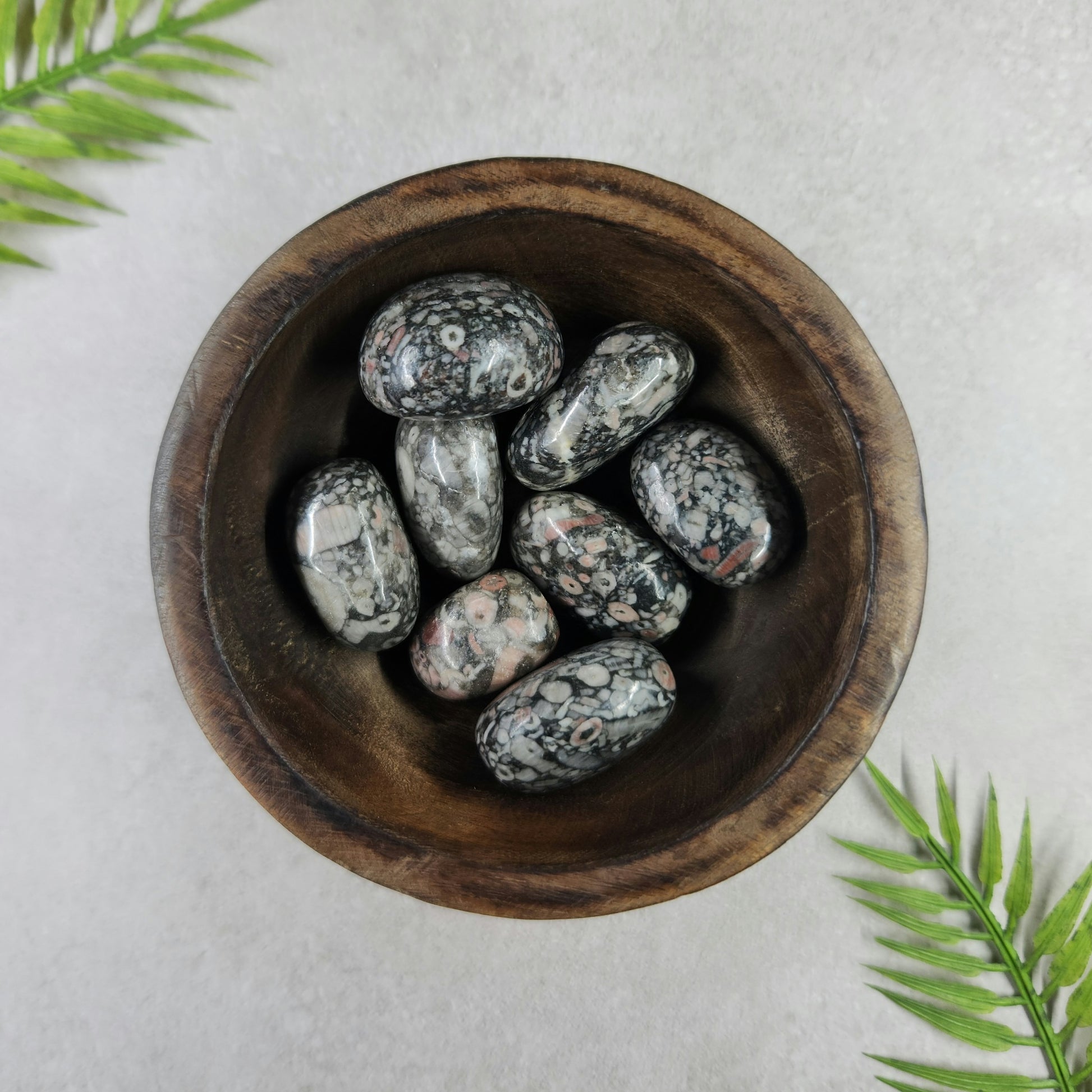 Crinoid/Fossil Jasper Tumble