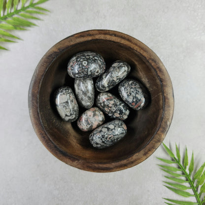 Crinoid/Fossil Jasper Tumble