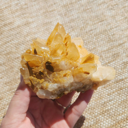 Dog Tooth Calcite Cluster 378g