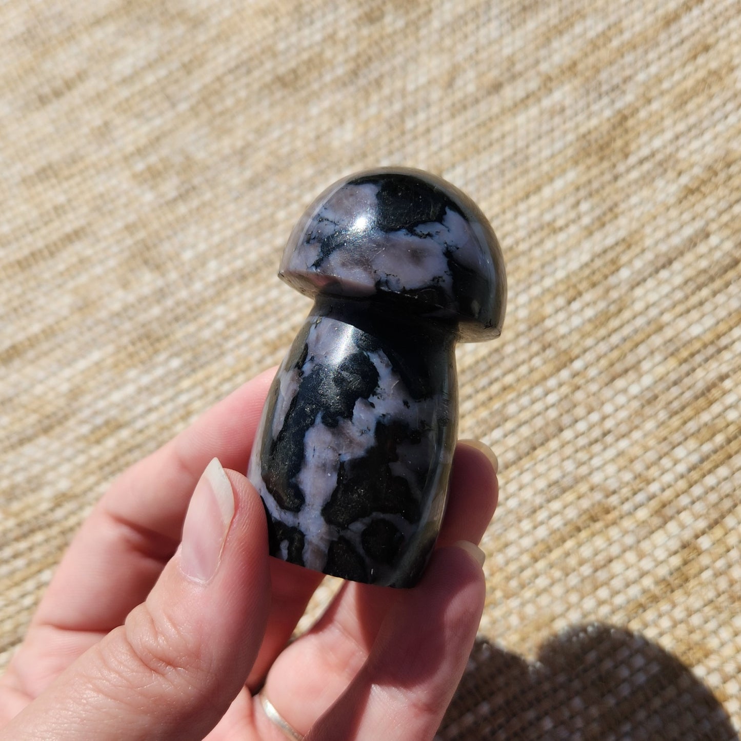 Indigo Gabbro Mushroom 130g