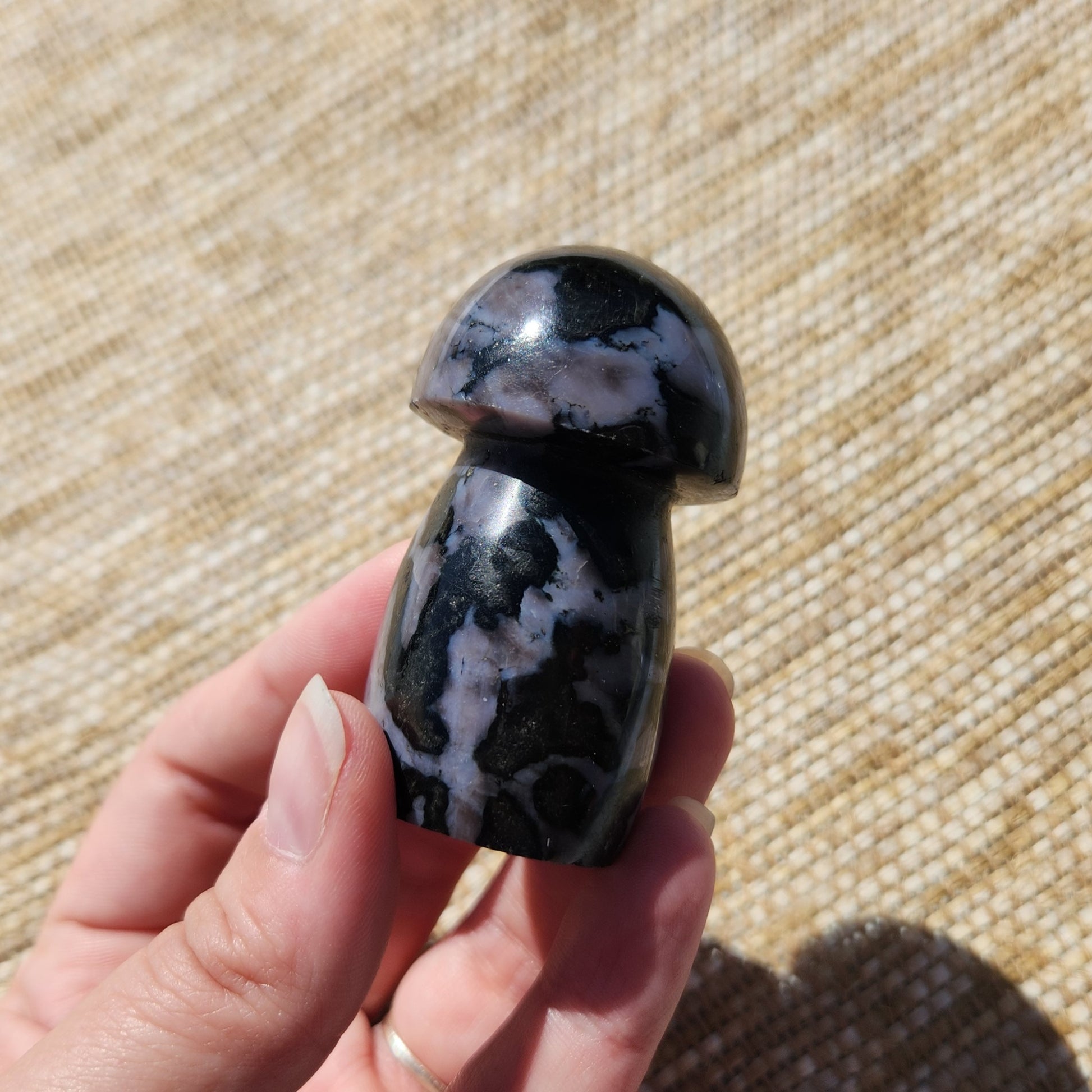 Indigo Gabbro Mushroom 130g
