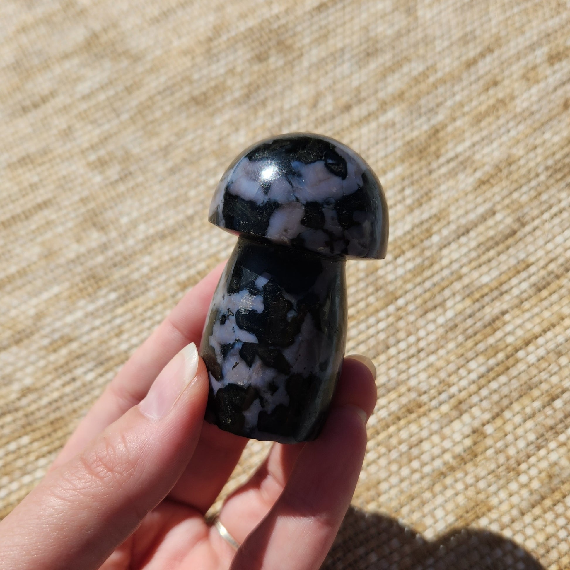 Indigo Gabbro Mushroom 130g