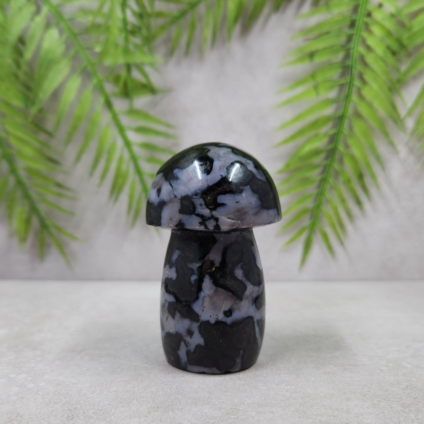 Indigo Gabbro Mushroom 130g